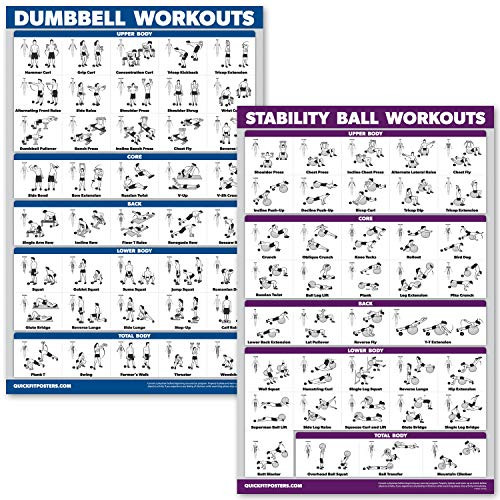 QuickFit Dumbbell Workouts and Exercise Ball Poster Set - Laminated 2 Chart Set - Dumbbell Exercise Routine and Stability-Yoga Ball Workouts -18 x 27-
