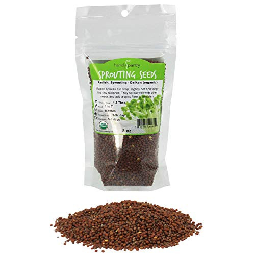 Handy Pantry Organic Radish Sprouting Seeds - 8oz- Non-GMO Daikon Radish Seeds - Radish Seeds For Planting  Sprouting  and Microgreens