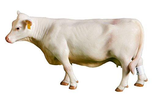 Little Buster Toys Charolais Cow - Realistic Cow  1-16th Scale