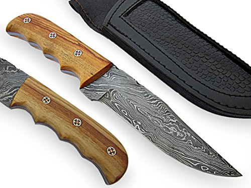 AishaTech Savage Fixed Blade Hunting Knife Damascus Steel Blade Wood Handle w-Mosaic Pin