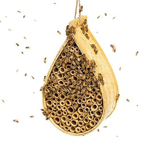Black Butterfly Hanging Bee House Bamboo Mason Bee Hotel-Hive for The Garden - Attract Mason Bees and Other Helpful Pollinators - Bee Houses for Bett Black Butterfly Hanging Bee House Bamboo Mason Bee Hotel-Hive for The Garden - Attract Mason Bees and Other Helpful Pollinators - Bee Houses for Bett