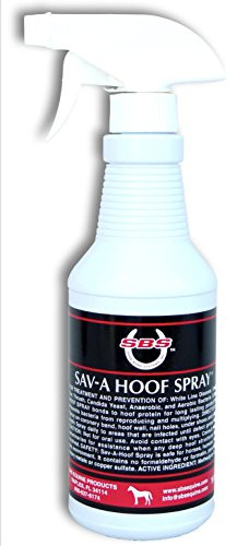 SBS Equine Item 316 hoof Treatment  16 fl- oz- Spray