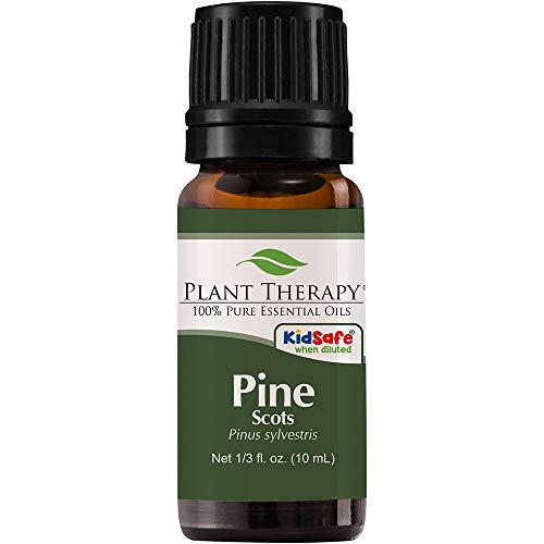 Plant Therapy Pine Scots Essential Oil 10 mL -1-3 oz- 100 Pure  Undiluted  Therapeutic Grade Plant Therapy Pine Scots Essential Oil 10 mL -1-3 oz- 100 Pure  Undiluted  Therapeutic Grade
