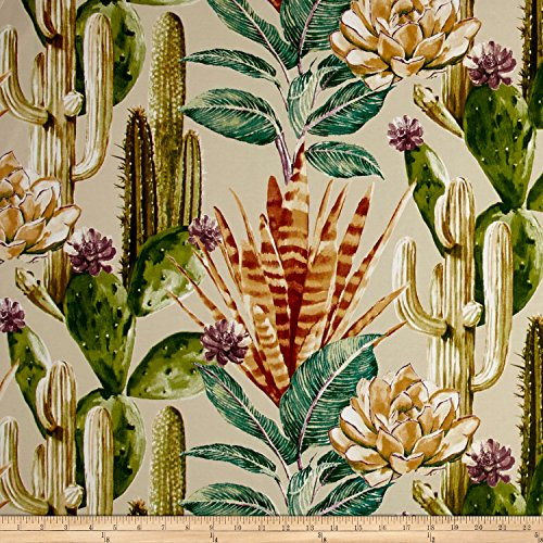 Richloom Fabrics 0568368 Richloom Solarium Outdoor Hatteras Mesa Fabric by The Yard
