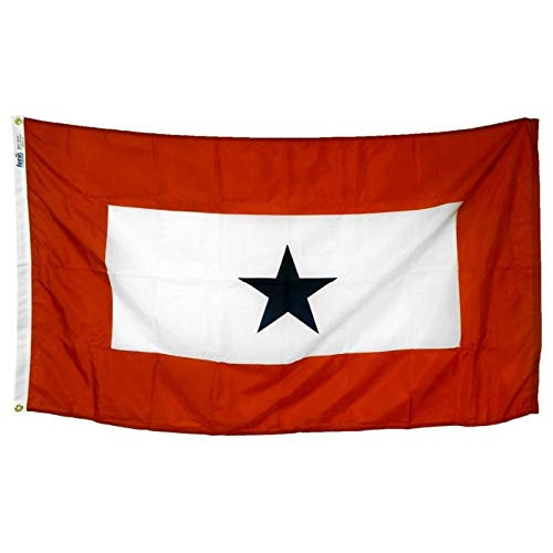3x5 Service Star Flag -1 Blue Star- All- Weather Nylon Outdoor Flag Made in USA