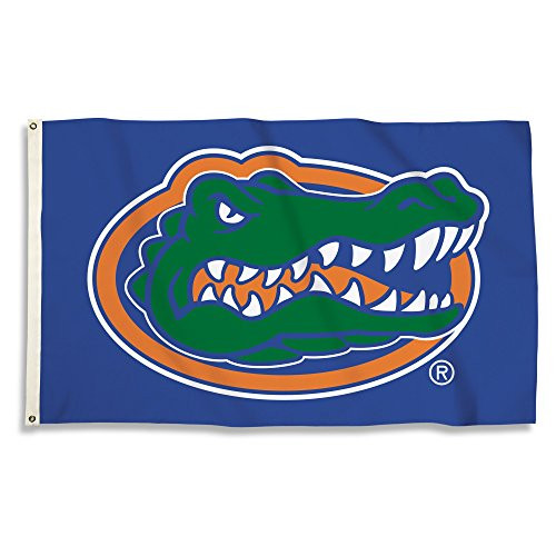 BSI NCAA College Florida Gators 3 X 5 Foot Flag with Grommets