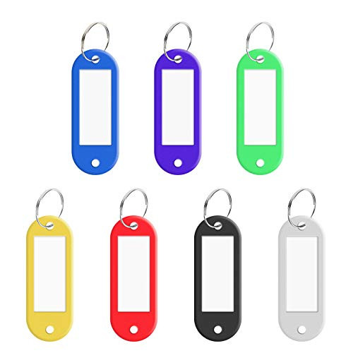 Siasky 28 Pcs Key Tags  Multicolored Plastic Key Labels Tags with Split Ring Label Window for Key Tags Luggage Pet Name Memory Stick Tags
