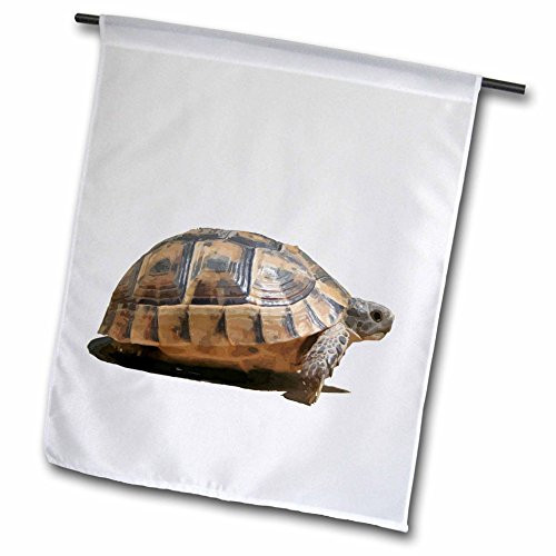 3dRose Side View of A Walking Turkish Tortoise Isolated - Garden Flag  12 by 18
