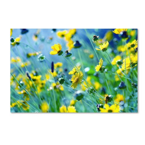 Trademark Fine Art Flower Power Artwork by Beata Czyzowska Young, 22 by 32-Inch Canvas Wall Art Trademark Fine Art Flower Power Artwork by Beata Czyzowska Young, 22 by 32-Inch Canvas Wall Art
