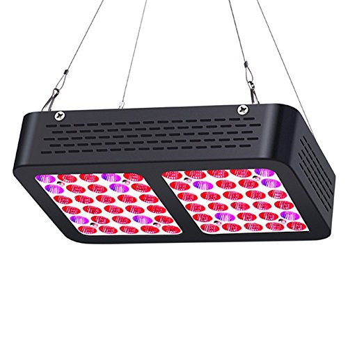 LED Grow Light 300W, AEJSLOK Reflector Plant Grow Light Full Spectrum for Indoor Hydroponic Greenhouse Plants Veg and Flower with On/Off Switch LED Grow Light 300W, AEJSLOK Reflector Plant Grow Light Full Spectrum for Indoor Hydroponic Greenhouse Plants Veg and Flower with On/Off Switch