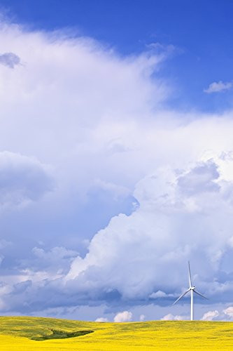 Posterazzi Storm Clouds Over Canola Field With Wind Turbine St- Leon Manitoba Poster Print  -11 x 17-