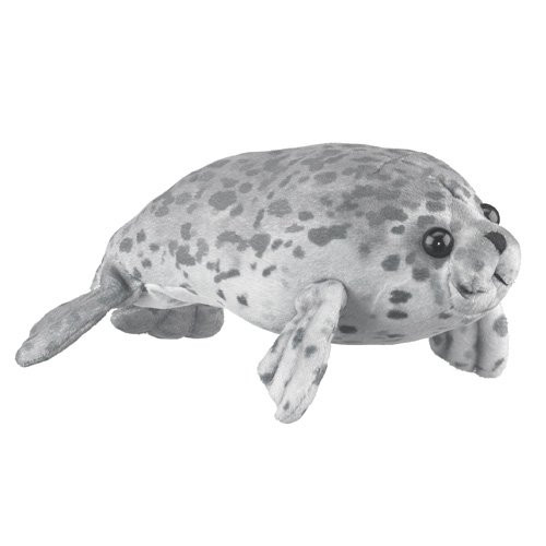 Harbor Seal 8 by Wild Life Artist