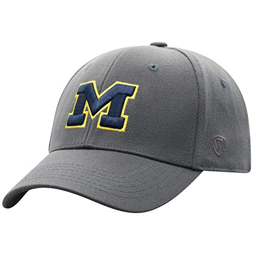 Top of the World Michigan Wolverines Mens Premium Collection One-Fit Memory Fit Hat Charcoal Icon  Adjustable