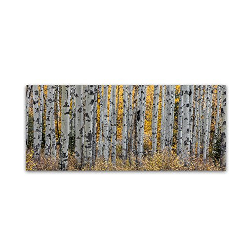 Trademark Fine Art Aspen Trees by Pierre Leclerc, 20x47-Inch Canvas Wall Art Trademark Fine Art Aspen Trees by Pierre Leclerc, 20x47-Inch Canvas Wall Art