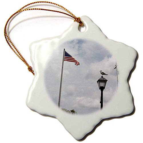 3dRose ORN-158222-1 The American Flag and Seagull Flying in The Wind Porcelain Snowflake Ornament 3-Inch 3dRose ORN-158222-1 The American Flag and Seagull Flying in The Wind Porcelain Snowflake Ornament 3-Inch