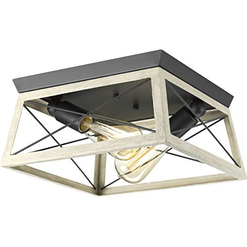 Progress Lighting P350039-143 Briarwood Two-Light Flush Mount, Graphite
