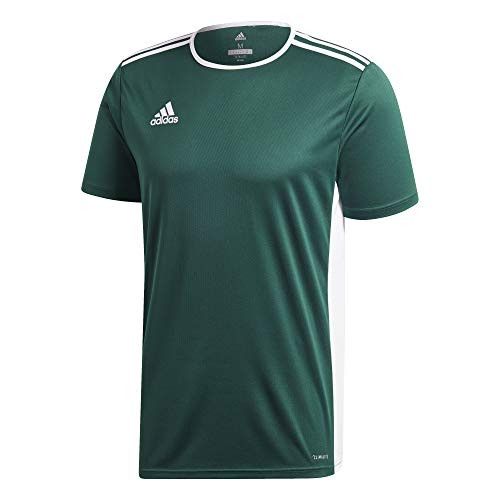 adidas Boys Entrada 18 Jersey  Collegiate Green-White  Large