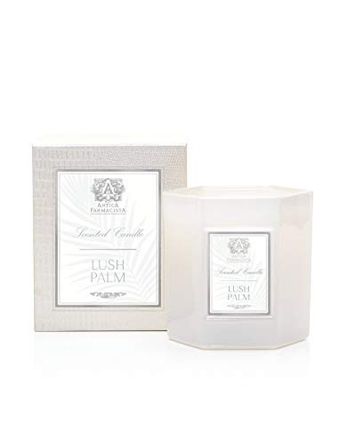 Antica Farmacista Scented Candles  Lush Palm  9 oz-