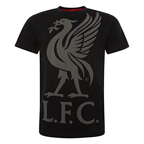 Liverpool FC Black Short Sleeve Mens Soccer Liverbird Jersey AW19 LFC Official