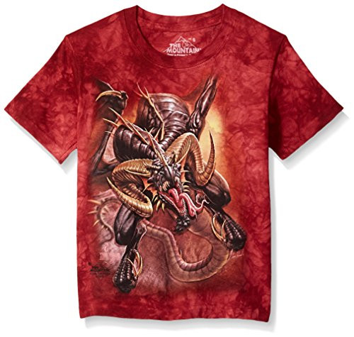 The Mountain Dragon Raid Child T-Shirt  Brown  XL