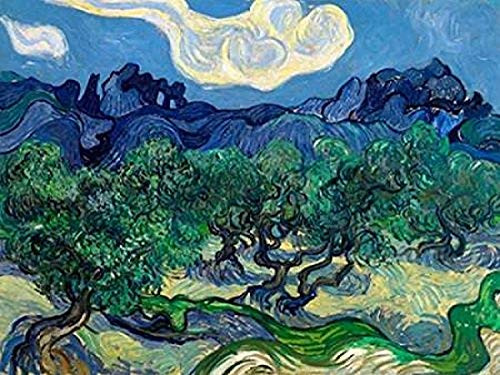 Posterazzi PDX3VG1545SMALL The Olive Trees Poster Print by Vincent Van Gogh  11 x 14