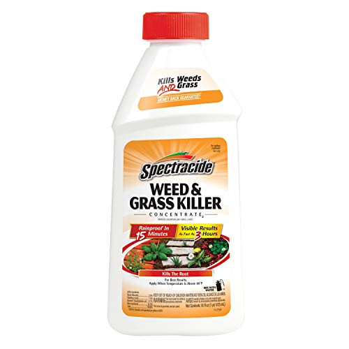 Spectracide Weed and Grass Killer Concentrate2  16-Ounce