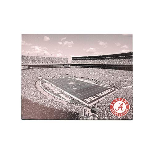 FOCO NCAA Alabama Crimson Tide Unisex Light Up Canvas Signlight Up Canvas Sign Team Color One Size FOCO NCAA Alabama Crimson Tide Unisex Light Up Canvas Signlight Up Canvas Sign Team Color One Size