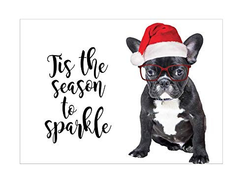 Funny Dog Santa Christmas cards  set of 12 cards and 12 envelopes- Dog Holiday Christmas Cards 5x7 cards - French Bulldog