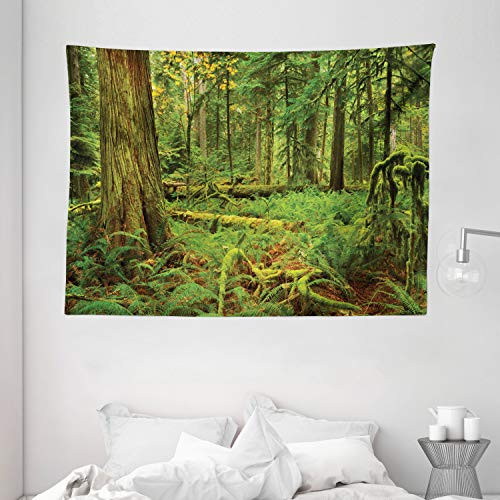 Ambesonne Tree Tapestry  Idyllic Rainforest in Canadian Island Ferns Moss on Plant Nature Ecology Photo  Wide Wall Hanging for Bedroom Living Room Dor