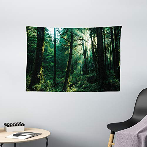 Ambesonne Nature Tapestry  Sunset in Woods Sun Beaming Through Forest Trees Wilderness Scenery  Wide Wall Hanging for Bedroom Living Room Dorm  60 X