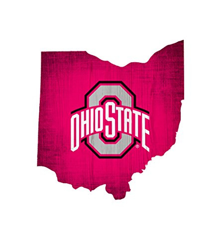 Fan Creations NCAA Ohio State Buckeyes 11-25 X 10 Team Color Logo State