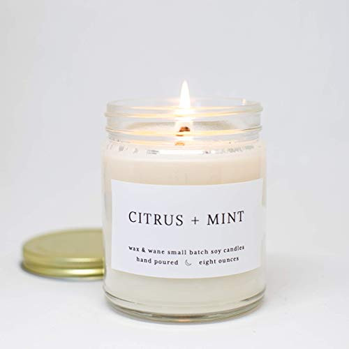 Citrus - Mint Scented 8 oz Modern Soy Candle Citrus - Mint Scented 8 oz Modern Soy Candle