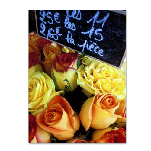 Trademark Fine Art Paris Roses Artwork by Kathy Yates, 35 by 47-Inch Canvas Wall Art Trademark Fine Art Paris Roses Artwork by Kathy Yates, 35 by 47-Inch Canvas Wall Art