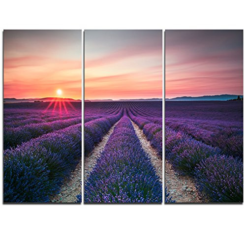 Endless Rows of Lavender Flowers Modern Landscape on Canvas Art Wall Photgraphy Artwork Print