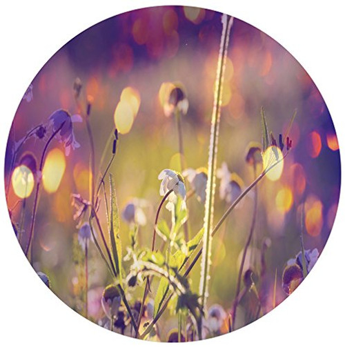 Designart MT12287-C23 Beautiful Flowers in Meadow Floral Disc Metal Artwork- Disc of 23,Purple,23 X 23 Designart MT12287-C23 Beautiful Flowers in Meadow Floral Disc Metal Artwork- Disc of 23,Purple,23 X 23