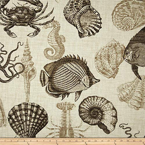 Richloom Fabrics Solarium Outdoor Sealife  Driftwood