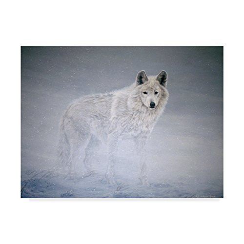 Arctic Winds by Ron Parker  14x19-Inch