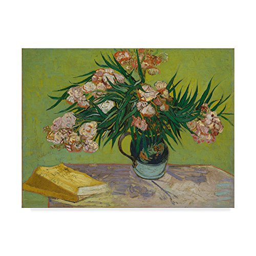 Trademark Fine Art Oleanders by Vincent Van Gogh  14x19-Inch  Multicolor