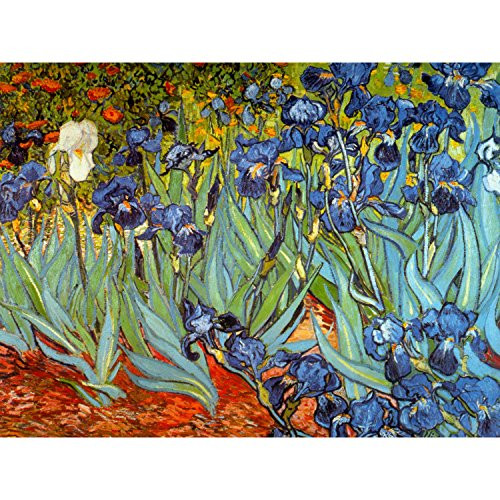 Irises by Van Gogh Wall Art