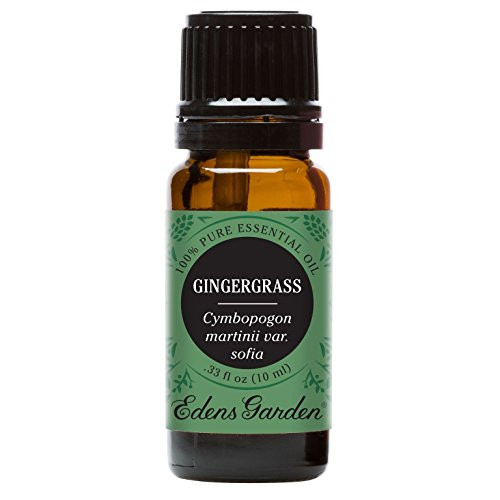 Edens Garden Gingergrass 10 ml 100% Pure Undiluted Therapeutic Grade Essential Oil GC/MS Tested Edens Garden Gingergrass 10 ml 100% Pure Undiluted Therapeutic Grade Essential Oil GC/MS Tested