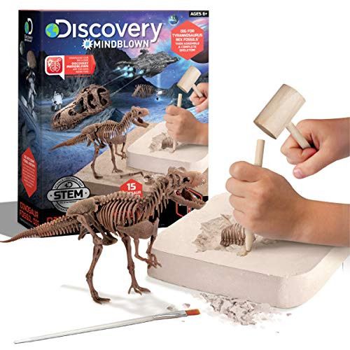 Discovery MINDBLOWN 15 Piece Dinosaur 3D Fossil Dig Excavation Kit  T-Rex Skeleton Puzzle  Dig for Bones with Included Tools