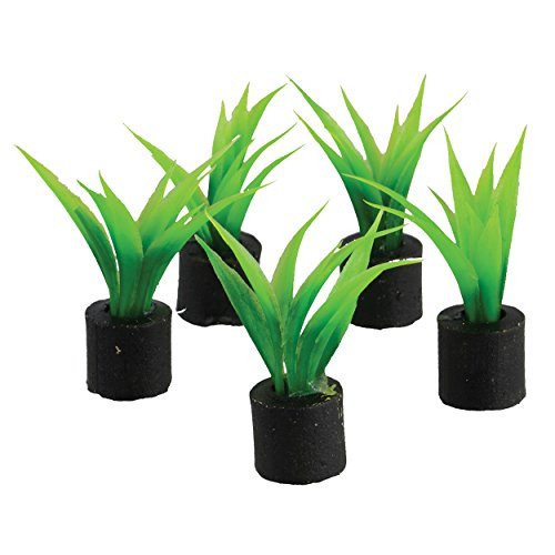 Underwater Treasures Mini Plant Sword - Small - 1-25 - 5 pk