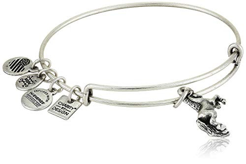 Alex and Ani Unicorn EWB Bangle Bracelet  Rafaelian Silver  Expandable