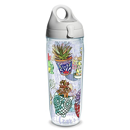 Tervis Succulents In Pots Wrap Clear Inner 24oz Water Bottle with Grey Wb Lid