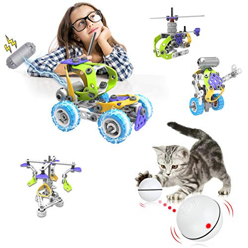Pakoo Interactive Cat Toys Ball  Smart Automatic Rolling Kitten Toys  USB Rechargeable Motion Ball - Spinning Led Light with Timer Function  The Best