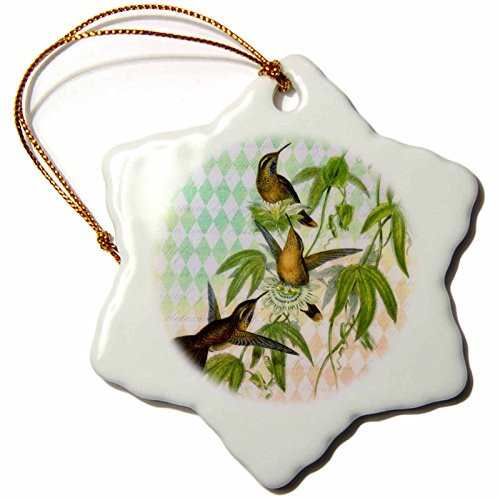 3dRose ORN-108244-1 Vintage Humingbirds Digital Art by Angelandspot-Snowflake Ornament  Porcelain  3-Inch