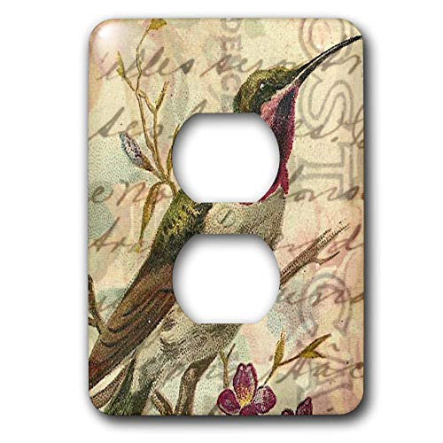 3dRose LLC lsp-10898-6 Vintage Hummingbird 2 Digital Art by Angelandspot 2 Plug Outlet Cover