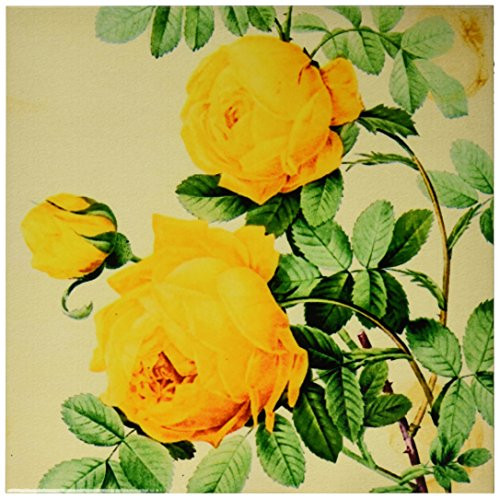 3dRose LLC Vintage Yellow Roses Digital Art 12-Inch Ceramic Tile