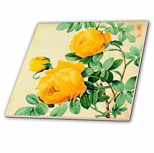 3dRose ct-6391-3 Vintage Yellow Roses Digital Art Ceramic Tile  8-Inch