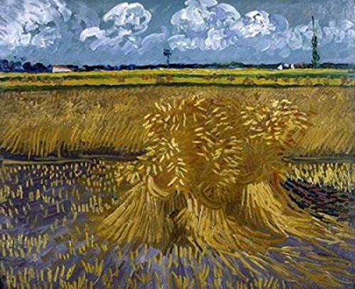 Wheat Field with Sheaves Poster Print by Vincent Van Gogh -20 x 24-